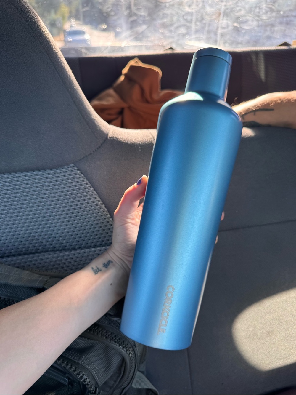 Corkcicle Metallic Blue Insulated Bottle